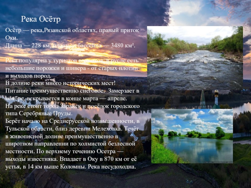 Река ОсётрОсётр — река,Рязанской областях, правый приток Оки.Длина — 228 км, площадь бассейна — 3480 км². Река