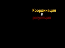 Координация и регуляция