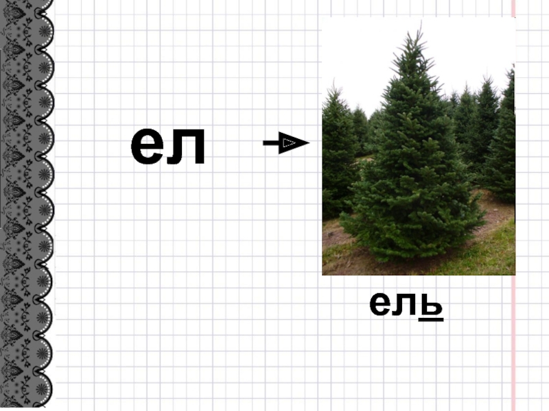 Ел ель. Слова на букву ель. Слова на букву а в лесу. 5 Пар слов с буквой ь ел-ель. Ели ели шепотом