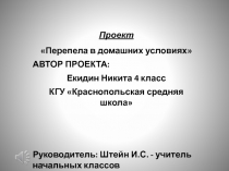 Проект Перепела в домашних условиях