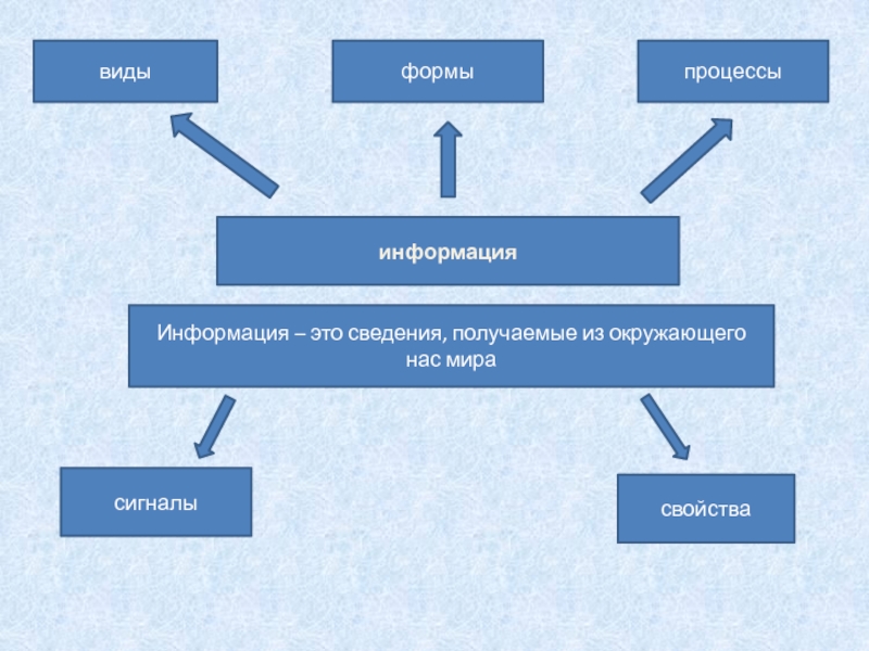 информация
виды
формы
процессы
Информация – это сведения, получаемые из