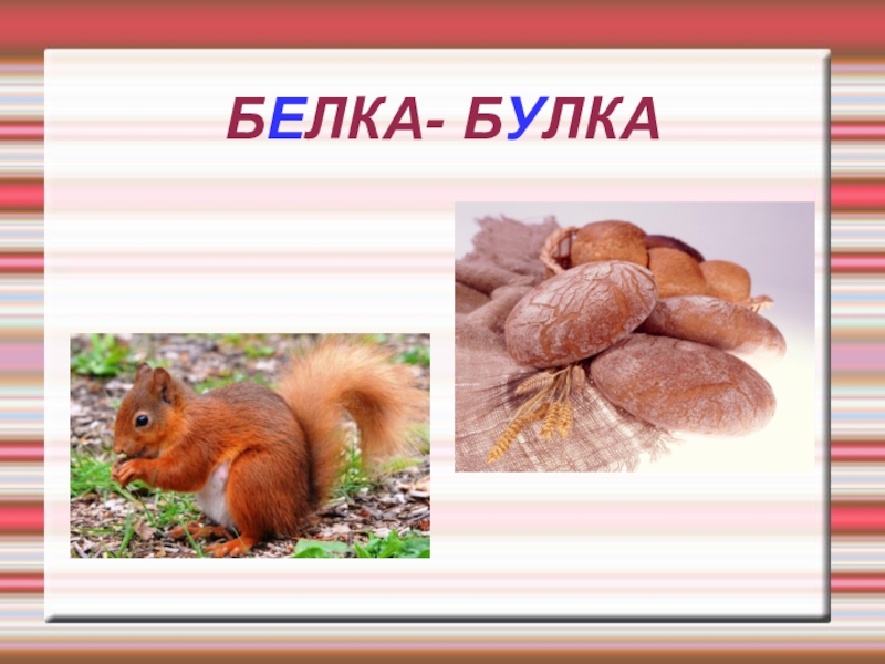 Звуки белок. Белка булка булки белки. Звук белки. Булка булочка булчонка. Белка булка картинки для детей.