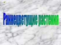 Раннецветущие растения 