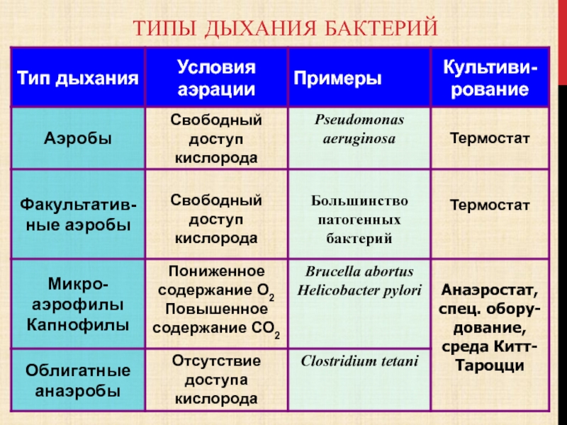 Классификация микроорганизмов микробиология презентация