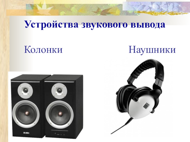 Вывести колонку. Звуковые устройства. Устройства вывода звуковой информации. Устройство звука. Устройства вывода колонки.