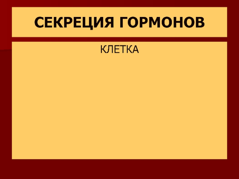 Гормон клетка