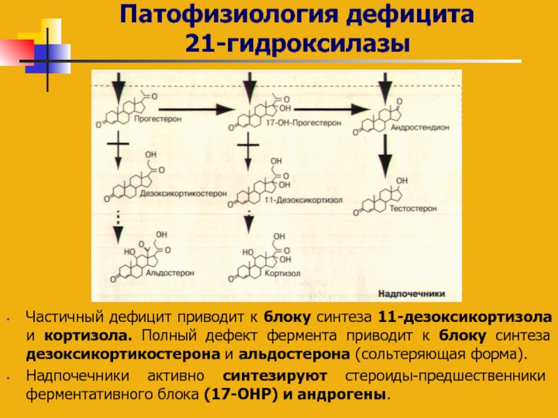 При значительном дефиците 21 гидроксилазы развивается клиническая картина