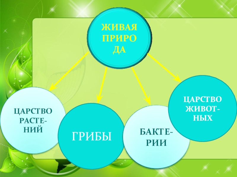 Технологическая карта урока 3 класс разнообразие растений