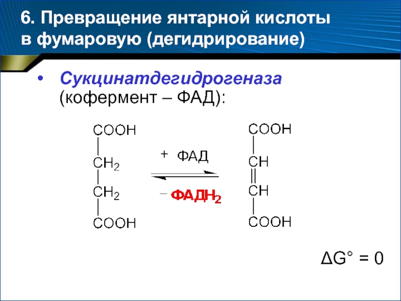 Дегидрирование кислоты. Превращение янтарной кислоты при участии кофермента ФАД В фумаровую. Синтез фумарата из янтарной кислоты. Образование фумаровой кислоты из янтарной кислоты. Сукцинатдегидрогеназа катализируемая реакция.