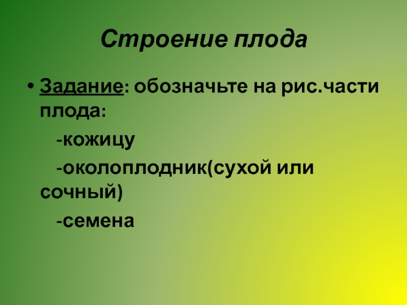 Строение природы. Плоды задачи.