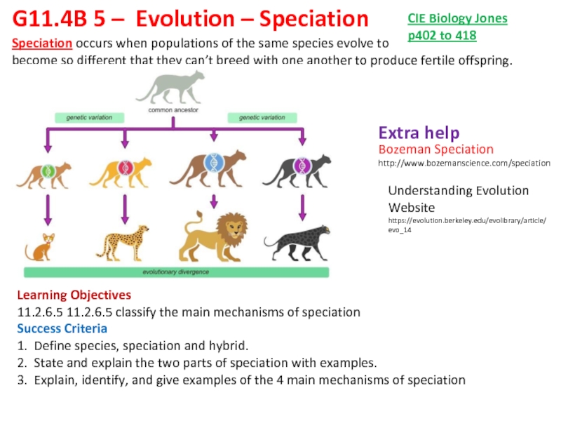 G11.4B 5 – Evolution – Speciation
Learning Objectives
11.2.6.5 11.2.6.5