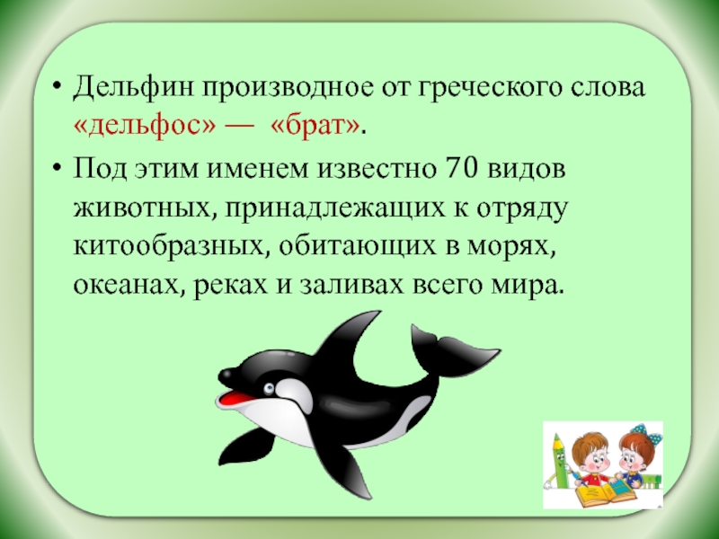 Дельфин производное от греческого слова «дельфос» — «брат». Под этим именем известно 70 видов животных, принадлежащих к