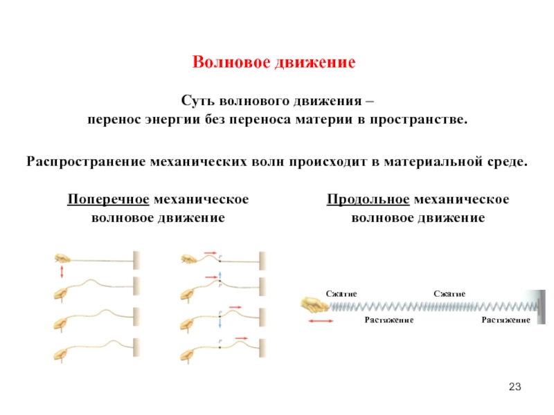 Движение суть. Волновое движение. Волновое движение урок. Примеры волнового движения. Характеристики волнового движения.