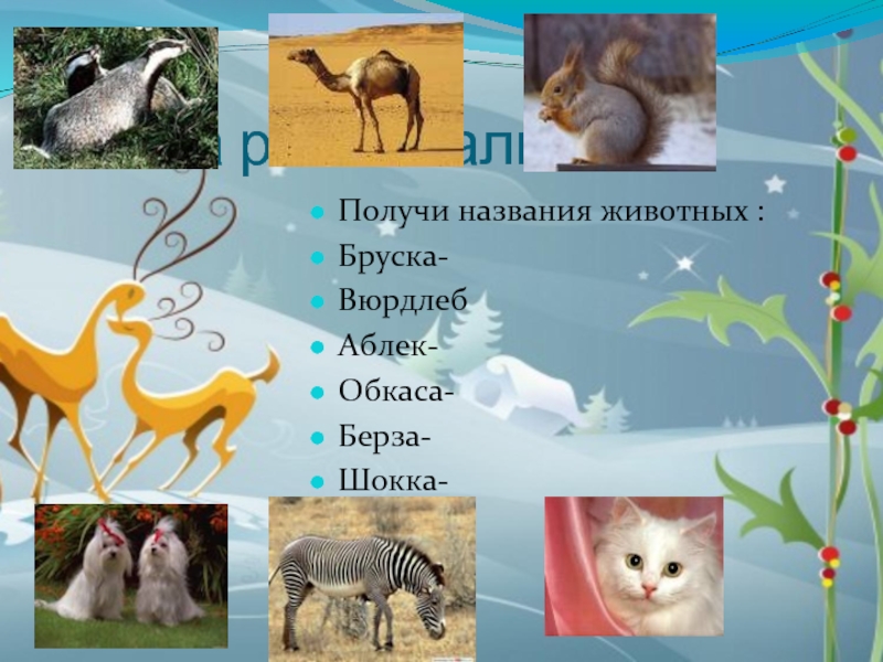 Название получилось. Бруска название животного. Собери названия животных. Собери из букв названия животных бруска. ОБКАСА название животного.