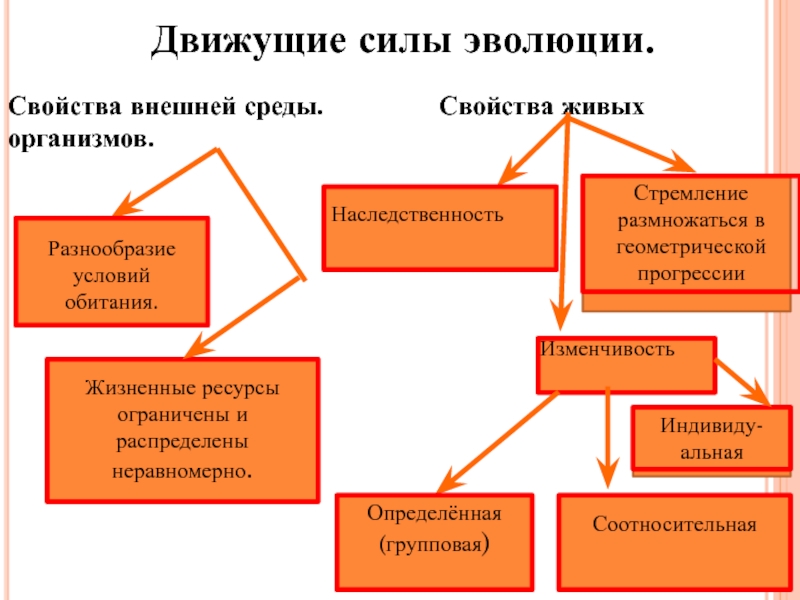 Нарисовать схему движущие силы эволюции