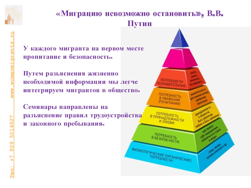 Социальная и культурная адаптация. Пирамида клиентов. Адаптация мигрантов картинки для презентации.