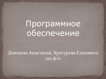 Программное обеспечение