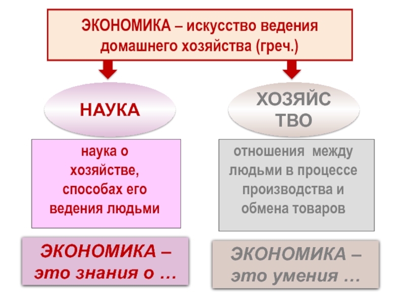 Схема экономики 7 класс обществознание - 97 фото