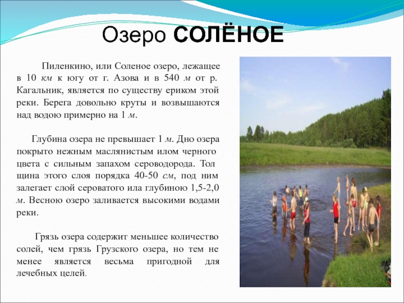 Какое озеро соленое. Водоемы Ростовской области. Сообщение водоемы Ростовской области. Сообщение о любом водоеме. Озера Ростовской области список.