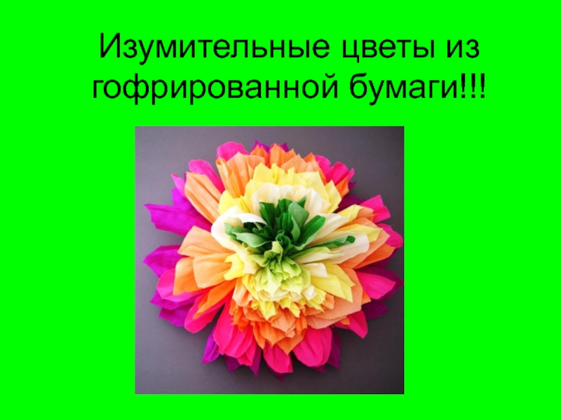 Презентация Изумительные цветы из гофрированной бумаги!