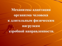 Адаптация организма человека к физическим нагрузкам