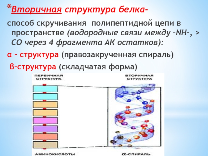 Поурочный план аминокислоты белки