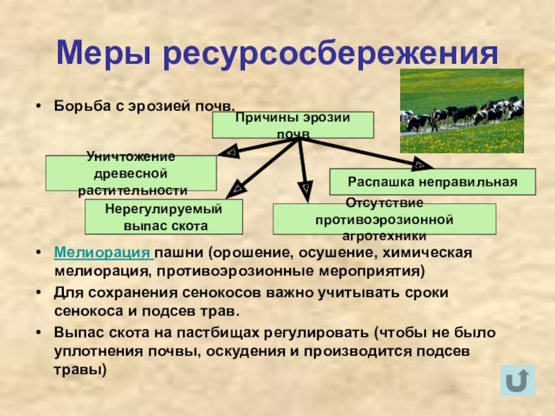 Мелиорации борьба с эрозией. Эрозия почв и мелиорация. Схемы противоэрозионных мероприятий. Противоэрозионные мероприятия примеры.