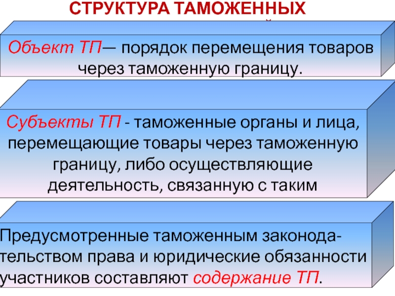 Субъекты таможенных органов