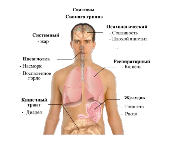 Клиническая картина орви