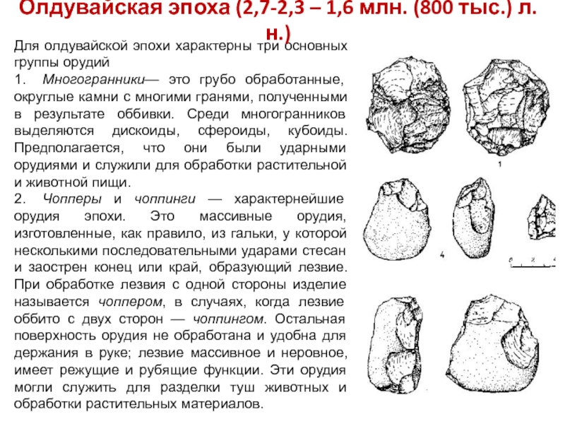 Период палеолита. Стоянки олдувайской эпохи. Орудия олдувайской эпохи. Ранний палеолит. Палеолит краткая характеристика.