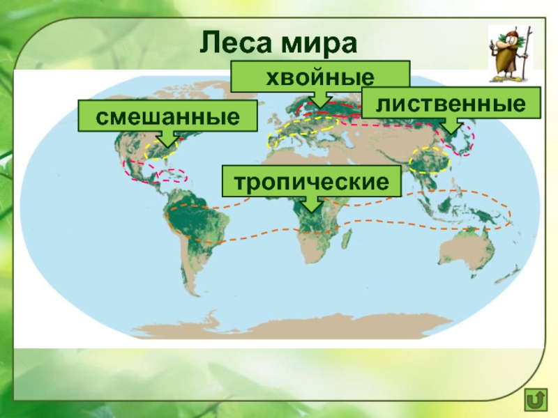 Карта лесных зон мира