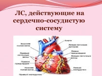 ЛС, действующие на сердечно-сосудистую систему