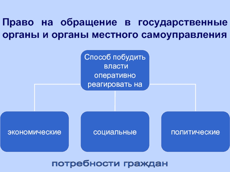 Обращения граждан в органы государственной власти презентация