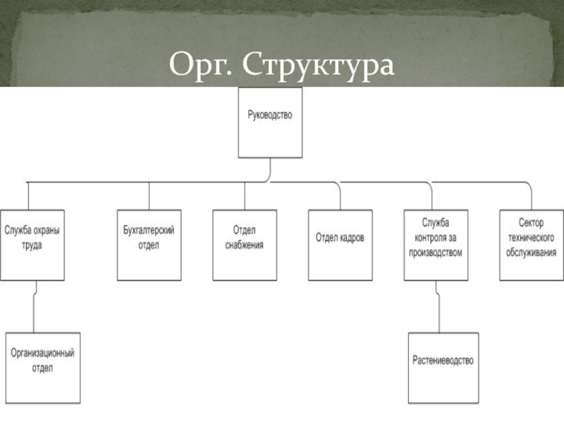 Орг структура. Организационная структура тепличного хозяйства схема. Организационная структура тепличного хозяйства. Организационная структура шоурума. Орг орг структура.