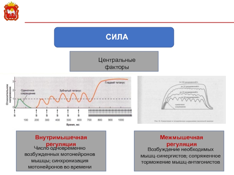 Центр фактор