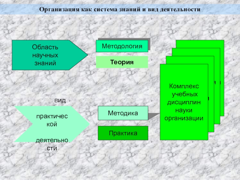 Сферы познания. Система знаний виды. Организация научных знаний. Организация как область знаний. Теория организации научного знания.