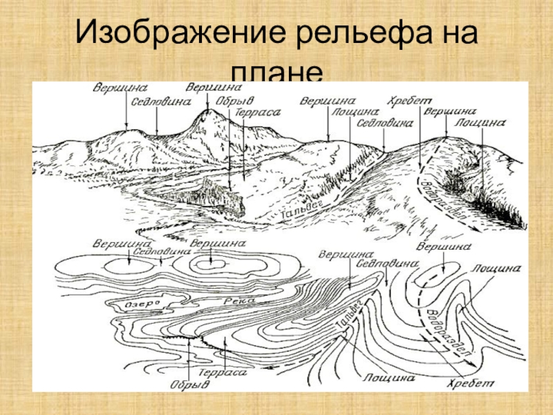 Рельеф изображают. Изображение рельефа на плане. Способы изображения рельефа. План рельефа. Изображение рельефа на плане местности.