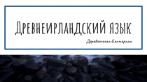 Древнеирландский язык