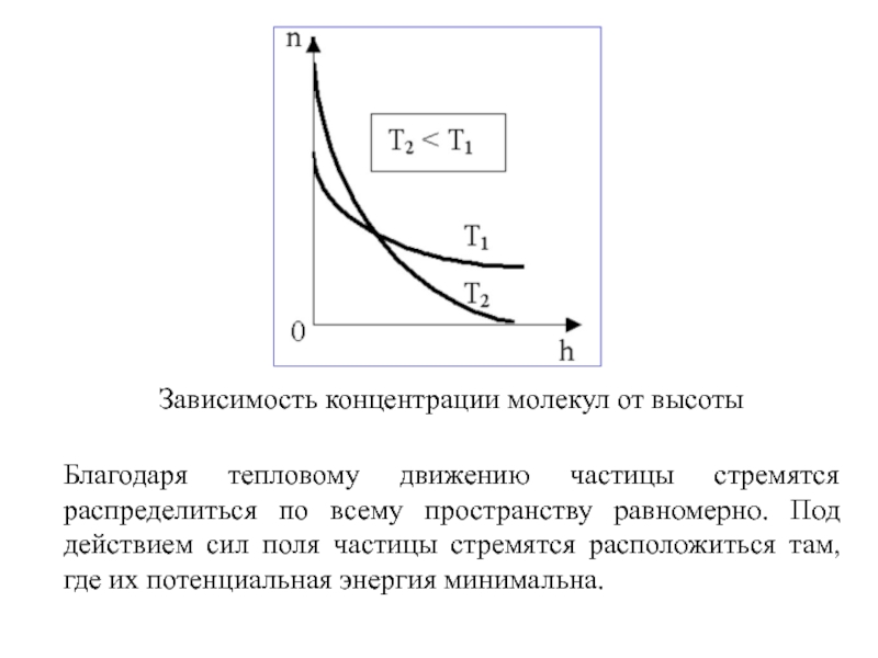 На рисунке представлены графики зависимости концентрации молекул идеального газа n от высоты h