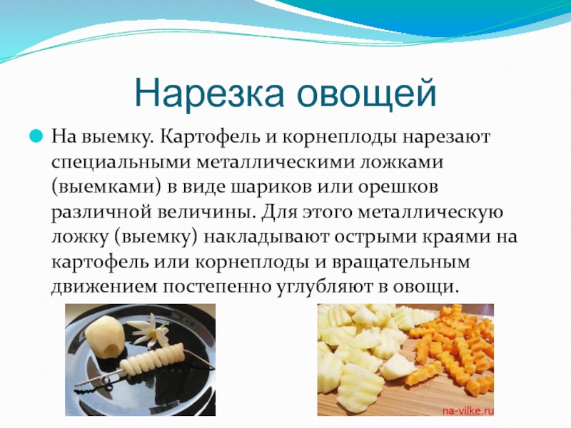 Какой тип питания характерен для крапивницы изображенной на рисунке 1 обоснуйте свой ответ