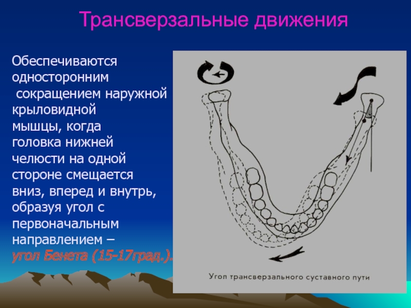 Движение нижней челюсти. Трансверзальные движения нижней челюсти. Биомеханика трансверзальные движения челюсти. Угол трансверзального суставного. Угол трансверзального суставного пути.