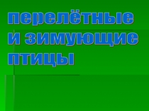 Перелетные и зимующие птицы