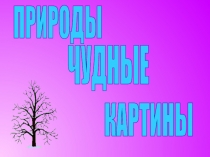 Природы чудные картины