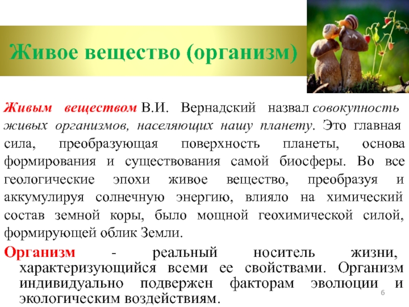 Организм живого вещества. Что Вернадский называет живым веществом. Многообразие живых организмов основа\. Что основа разнообразия живых организмов. Совокупность живых организмов биосферы называется.