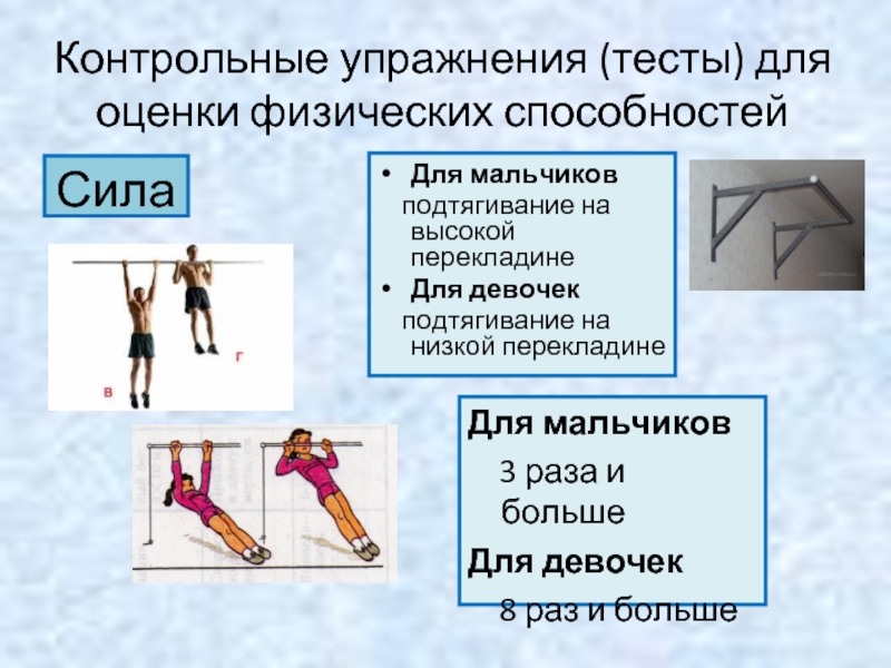 Контрольная тренировка. Упражнения для оценки силы. Контрольные упражнения для развития физического качества сила. Контрольные упражнения для оценки это. Контрольные тесты упражнения по физкультуре.