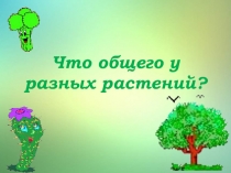 Что общего у разных растений? 3 класс