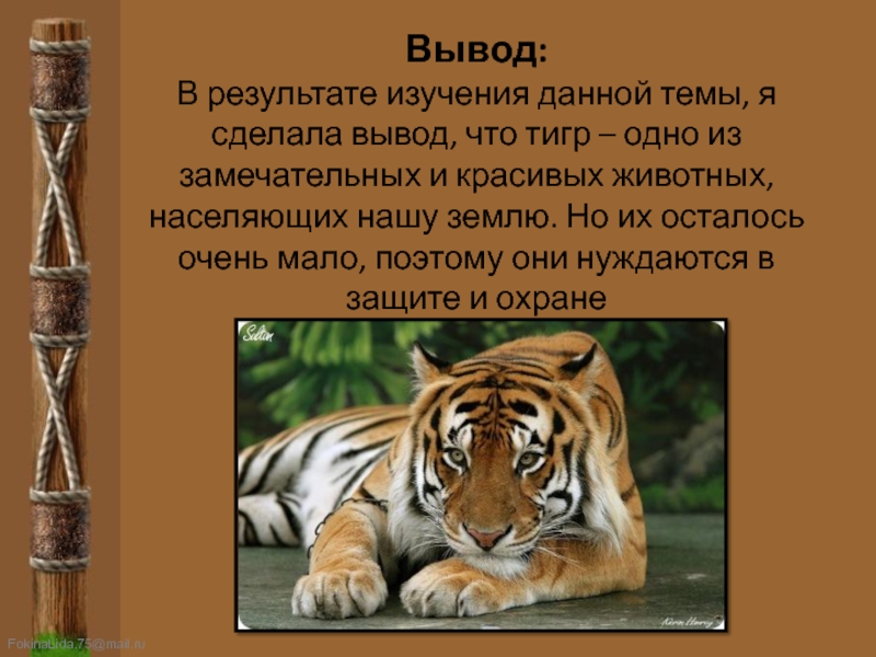Вывод: В результате изучения данной темы, я сделала вывод, что тигр – одно из замечательных и красивых