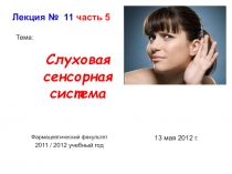 Слуховая сенсорная система