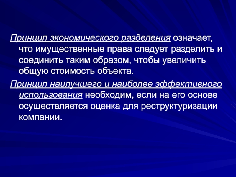 Экономическое деление. Принцип экономического разделения. Принципы деления экономики. Принцип разграничения означает. Принцип экономического разделения в оценке.