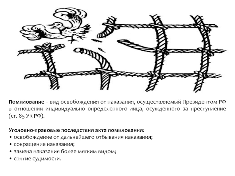 Амнистия и помилование схема